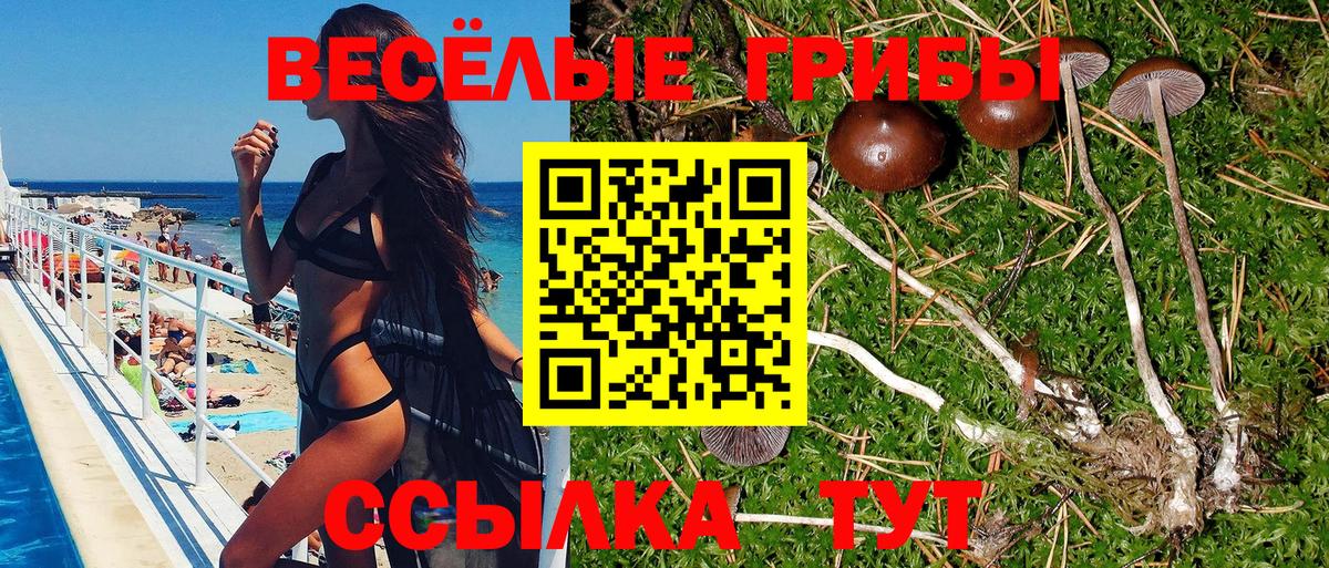Котлас  Псилоцибиновые грибы MAGIC MUSHROOMS  Вход с VPN  Галлюциногенные грибы MAGIC MUSHROOMS 